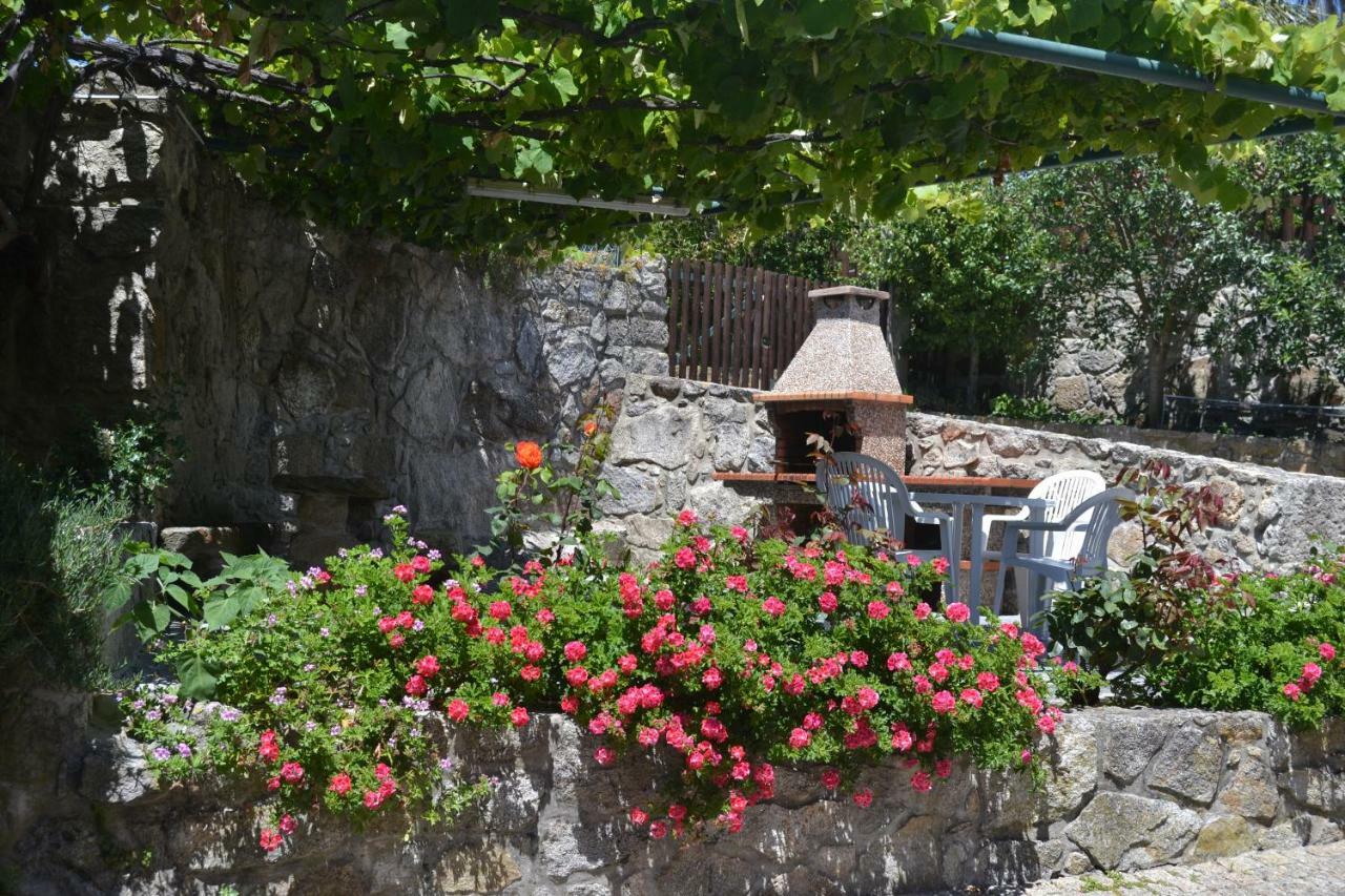 Quinta Do Real - Casa De Campo Viana do Castelo Exteriör bild